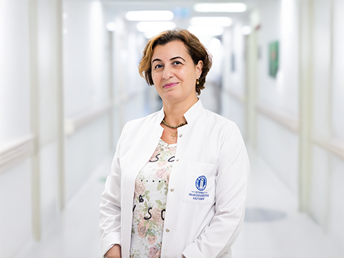 Feride Sinem Akgün