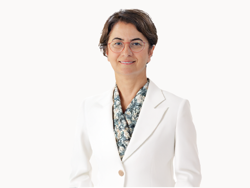 Zeynep Ahü Acar