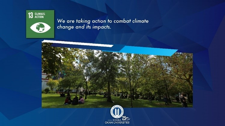 Goal 13 - Climate Action