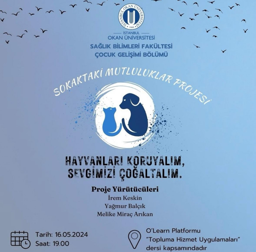 Sokaktaki Mutluluklar Projesi